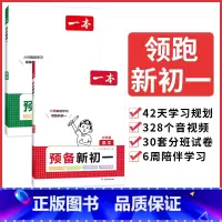 小升初专用[预备新初一]语文+英语全2册 小学通用 [正版]2024小学知识大盘点语文数学英语基础知识大全四五六年级考试