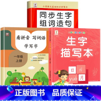 [上册]生字组词造句+生字描写本+看拼音写词语 小学一年级 [正版]一年级上册下册生字组词造句阅读本语文基础知识大全汉字