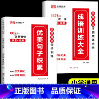 [全2册]优美句子积累+成语训练大全 二年级上 [正版]2023新版53天天练一二年级三四五六年级上册语文数学英语同步训