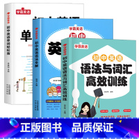 [全3册]单字轻松背+语法全解+词汇语法训练 初中通用 [正版]初中英语单字轻松背英语语法全解专练七八九年级中考英语词汇