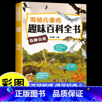 [彩绘注音版]儿童趣味百科全书-奇趣鸟类 [正版]儿童漫画趣味心理学安全保护时间管理启蒙书少儿趣味百科全书漫画版小学生心