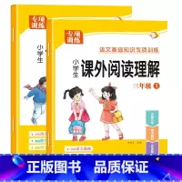 [上册+下册/全2册]课外阅读理解 小学三年级 [正版]三年级课外阅读理解专项训练书上册下册人教版小学3年级语文同步练习