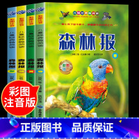 [注音版全4册]森林报春夏秋冬 [正版]森林画报全五册春夏秋冬科普百科故事经典名著漫画绘本小学三四五六年级课外阅读优美句