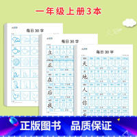 一年级上册3本 [正版]减压同步字帖每日30字一年级上册点阵控笔训练字帖小学生二三年级上下册人教版语文同步练字帖笔画笔顺