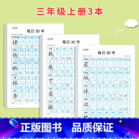 三年级上册3本 [正版]减压同步字帖每日30字一年级上册点阵控笔训练字帖小学生二三年级上下册人教版语文同步练字帖笔画笔顺