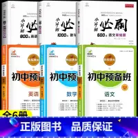 [全6册]小升初必刷题+小升初预备班 小学升初中 [正版]2024小升初必刷题人教版语文数学英语总复习资料书专项训练习册