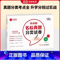 [英语]小升初名校真题分类试卷 小学升初中 [正版]小升初名校真题分类试卷全套六年级上下册毕业总复习小升初真题卷语文数学