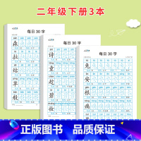 二年级下册3本 [正版]减压同步字帖每日30字一年级上册点阵控笔训练字帖小学生二三年级上下册人教版语文同步练字帖笔画笔顺