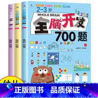 2~3岁全脑开发[全3册] [正版]全脑开发700题2-3岁幼儿思维逻辑训练书儿童益智早教书幼儿园小班中大班宝宝左右脑智