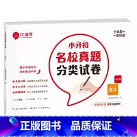 [语文]小升初名校真题分类试卷 小学升初中 [正版]小升初名校真题分类试卷全套六年级上下册毕业总复习小升初真题卷语文数学