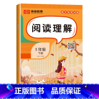 阅读理解[单册] 五年级下 [正版]五年级下册语文专项训练全套5册人教版小学5年级看拼音写词语字词句子训练课内课外阅读理