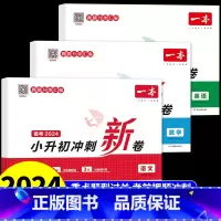 [全套3册]语数英小升初冲刺新卷 小学升初中 [正版]一本小升初冲刺新卷语文英语数学人教版六年级下册小学升初中必刷题真题