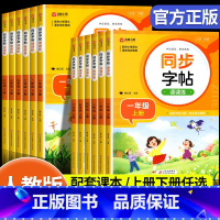 [下册]语文同步字帖课课练 小学二年级 [正版]一二三四五六年级下册语文同步字帖练字帖课课练小学生练字本练字本人教版儿童