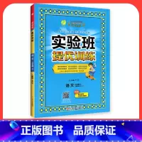 语文[人教版] 四年级下 [正版]2024新版实验班提优训练一年级二年级三年级上册四年级五六年级下语文数学英语人教版苏教