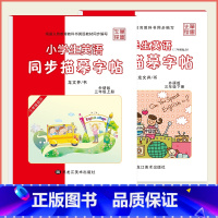 [外研版]3年级(上册+下册)-斜体 [正版]外研版三起点小学生英语描摹字帖三四五六年级上下册李放鸣龙文井小学衡水体斜体