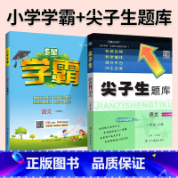 难度升级[尖题+学霸]语文 人教版 2本 一年级上 [正版]2024春尖子生题库二三年级四五年级六一年级上下册数学语文人