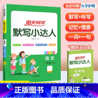 上册►默写达人(人教版) 小学六年级 [正版]阳光同学默写计算小达人一年级二年级三年级四五六年级上册下册数学语文训练人教