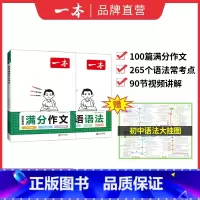 (2本)英语语法+英语作文 初中通用 [正版]2024初中英语语法全解英语基础知识点大全七八九年级英语单字语法英语作文初