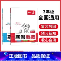 [衔接套装]语文+数学 小学三年级 [正版]寒假衔接阅读口算练字帖小学语文数学寒假作业语文寒假阅读字帖数学口算计算训练