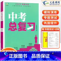 中考总复习 化学 初中通用 [正版]中考总复习2024全套决胜中考真题卷数学语文英语物理化学政治历史地理生物中考必刷题压