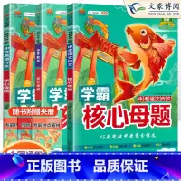 24版[3本套]语文+数学+英语 初中通用 [正版]中考真题核心母题数学物理化学语文英语学霸核心母题作文初中必刷题解题有