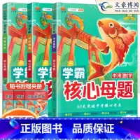 24版[3本套]数学+物理+化学 初中通用 [正版]中考真题核心母题数学物理化学语文英语学霸核心母题作文初中必刷题解题有