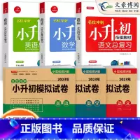 模拟试卷+总复习 语数英 6册 小学升初中 [正版]小升初真题卷模拟试卷人教版语文数学英语小升初系统总复习必刷题六年级下