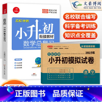 总复习+模拟试卷 数学 2册 小学升初中 [正版]小升初真题卷模拟试卷人教版语文数学英语小升初系统总复习必刷题六年级下册