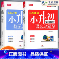 总复习 语数 2册 小学升初中 [正版]小升初真题卷模拟试卷人教版语文数学英语小升初系统总复习必刷题六年级下册试卷同步训