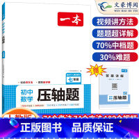 [七年级]数学压轴题 人教版 初中通用 [正版]初中语文阅读答题方法100问语文阅读理解答题模板技巧七八九年级语文教辅书