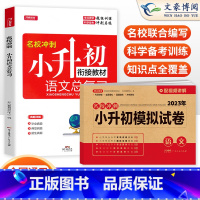 总复习+模拟试卷 语文 2册 小学升初中 [正版]小升初真题卷模拟试卷人教版语文数学英语小升初系统总复习必刷题六年级下册