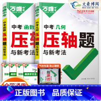 [几何+函数]2本套装 初中通用 [正版]2024数学物理化学压轴题专项训练 初二初三初中数学几何二次函数方法大全 八九