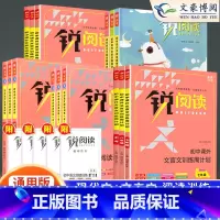 语文阅读训练五合一 八年级/初中二年级 [正版]锐阅读初中语文阅读训练五合一七年级八年级九年级中考现代文阅读理解训练10