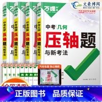 [几何+函数+物理+化学]4本套装 初中通用 [正版]2024数学物理化学压轴题专项训练 初二初三初中数学几何二次函数方