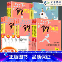 现代文阅读巅峰训练 九年级/初中三年级 [正版]锐阅读初中语文阅读训练五合一七年级八年级九年级中考现代文阅读理解训练10