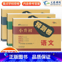 小升初语文+数学+英语3本 小学升初中 [正版]2023新版小升初真题卷重点学校名校密题小升初预测卷押题卷语文数学英语全