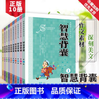 智慧背囊1-10辑 初中通用 [正版]时文选粹智慧背囊作文素材时文选萃语文小学初中高中版课外阅读书籍满分作文大全意林摘抄