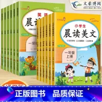 [2本]晨读美文[语文上册+英语全一册] 六年级上 [正版]2023新版小学生语文晨读美文一年级二年级上册三四五六年级晨