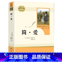 [九年级下册/人教版]简爱 初中通用 [正版]红星照耀中国昆虫记 水浒传艾青诗选 朝花夕拾西游记人民教育出版社初一二课外