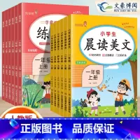[2本]晨读美文❤️语文练字帖 一年级上 [正版]2023新版小学生语文晨读美文一年级二年级上册三四五六年级晨诵晚读优美