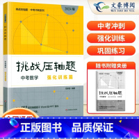 中考数学---强化训练篇 初中通用 [正版]2024新版挑战压轴题中考数学物理化学入门篇精讲篇强化篇专项训练七年级八年级