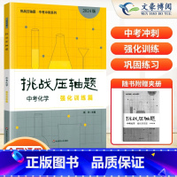中考化学---强化训练篇 初中通用 [正版]2024新版挑战压轴题中考数学物理化学入门篇精讲篇强化篇专项训练七年级八年级