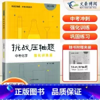 中考化学---强化训练篇 初中通用 [正版]2024新版挑战压轴题中考数学物理化学入门篇精讲篇强化篇专项训练七年级八年级