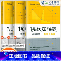 [全套3册]数理化-强化训练篇2024 初中通用 [正版]2024新版挑战压轴题中考数学物理化学入门篇精讲篇强化篇专项训