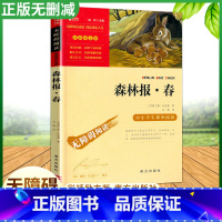 森林报·春 [正版]森林报春夏秋冬全4册 比安基着 儿童文学书籍 科普百科读物四年级阅读课外书下册书目小学生课外阅读书籍