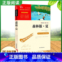 森林报·夏 [正版]森林报春夏秋冬全4册 比安基着 儿童文学书籍 科普百科读物四年级阅读课外书下册书目小学生课外阅读书籍