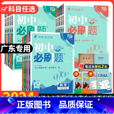 [3本! 语数英]人教版广东专用 七年级上 [正版]广东2024版初中七.八.九年级上册下册全套人教版北师数学沪粤物