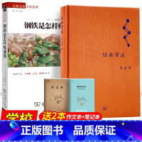 [特惠完整版]钢铁(商务社)+经典常谈(三联社) [正版]经典常谈朱自清钢铁是怎样炼成的和傅雷家书原著八年级下册必读课外