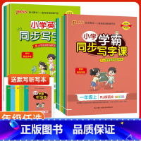 语文-人教版 一年级上 [正版]2023新版PASS绿卡学霸同步写字课一二三四五六年级上下册字帖人教版沪牛版任选 小学同