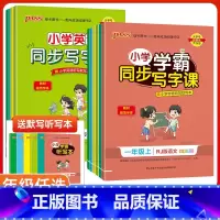 语文-人教版 一年级下 [正版]2023新版PASS绿卡学霸同步写字课一二三四五六年级上下册字帖人教版沪牛版任选 小学同